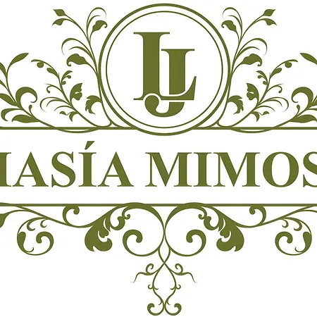 Masia Mimosa Pool House 公寓 *