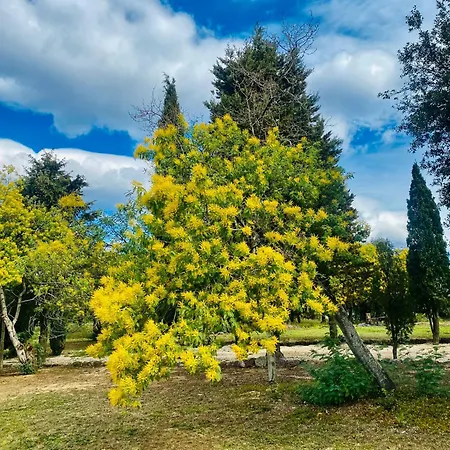 Villa Masia Mimosa Pool House Darnius