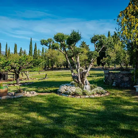 Masia Mimosa Pool House Villa