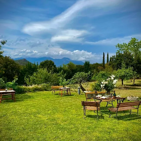 Masia Mimosa Pool House Appartement